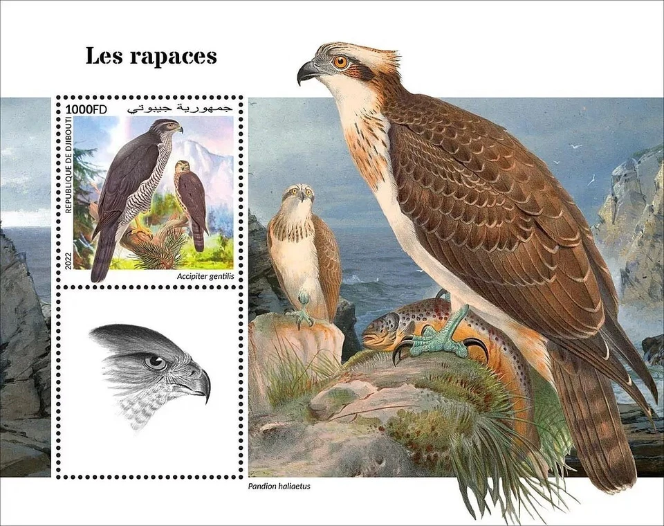 Hoja de sello BIRDS OF RAPY Bird/Birds MNH 1v #2259 (2022 Djibouti) Foto 1 de 1