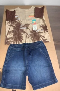 Toddler boy t-shirt & shorts summer outfit (2T) - Picture 1 of 8