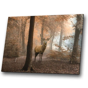 Animal Canvas Print Framed Kitchen Wall Art Picture Stag Deer Forest Orange - Bild 1 von 4