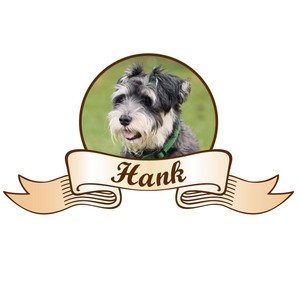 Hundeaufkleber auch als Autoaufkleber mit dem Foto Ihres Lieblings, wetterfest