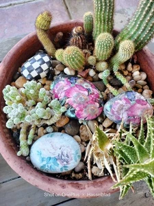 4 Hand-painted Rocks Black And White Checks Or Floral Your Choice - Picture 1 of 2