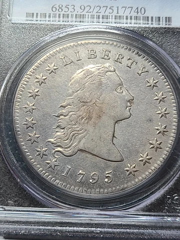 1795 FLOWING HAIR DOLLAR, 2 LEAVES, PCGS XF DETAILS, STRONG HAIR TOP TO BOTTOM! Cover
