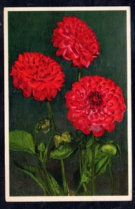 Cartolina  Fiori Dalia (AA220) - Picture 1 of 2