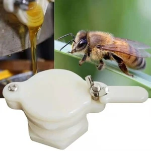 New Durable Bee Honey Tap Gate Valve Reusable Beekeeping Pump Extractor Bottling - Bild 1 von 24
