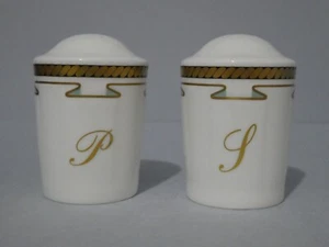 VILLEROY & BOCH Paloma Picasso Central Park Salt & Pepper Pot - Rare - Picture 1 of 8