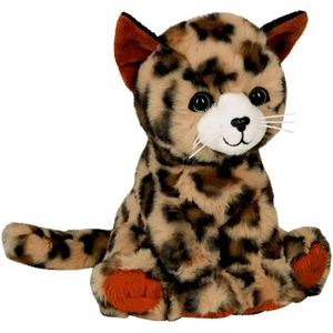 Katze Cleo - Bild 1 von 2