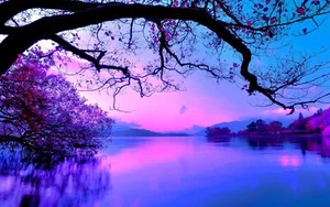 Anime nature purple pink water trees sky plants calm Play Gaming Mat Desk - Picture 1 of 1