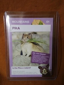 Winn Dixie Go Wild Pika - Picture 1 of 1