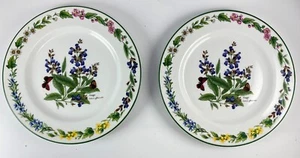 Lot 2 Royal Worcester 8.25" Plate SAGE Salad Lunch Plates Green Trim Porcelain - Picture 1 of 4