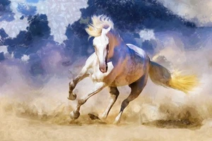 Impresión artística giclee contemporánea Desert Stallion de Vanessa Knight envío gratis - Imagen 1 de 3