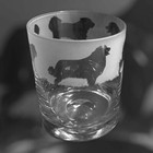 LEONBERGER Frieze Boxed 30cl Glass Whisky Tumbler