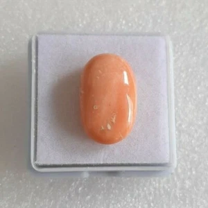 1''Pieces 100% Natural japan's Sea coral cabochon,pink Precious,Loose gemstone. - Picture 1 of 6