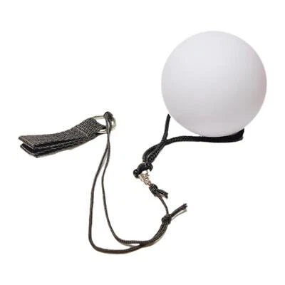 LED-Poi-Ball, Gym-Stretch-Arm- und Schultergelenke, Farbwechsel-Poi-Ball - Bild 1 von 4