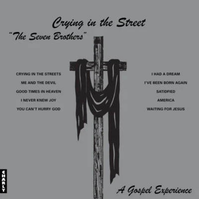 Crying In The Street  SEVEN BROTHERS LP CHARLY new and sealed pre order gospel** - Image 1 of 2