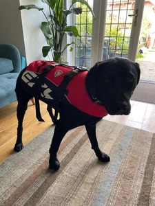EZYDOG - Dog Flotation Device/Life Vest-Boating, Paddleboard, Swim Camo Small - Picture 1 of 2
