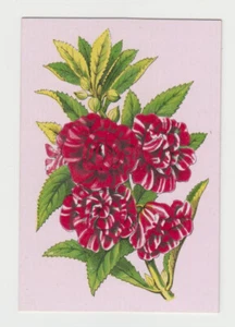 Playing Swap Cards GENUINE 1 ONLY ENGISH SQUARE CORNER FLOWERS CAMELIA? - Picture 1 of 1