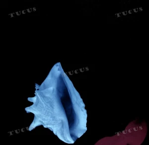 New Order - Touched By The Hand Of God 7" (VG+/VG+) '* - Picture 1 of 1