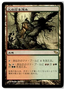 MTG Fire-Lit Thicket - Shadowmoor Moderately Played Japanese - Picture 1 of 2