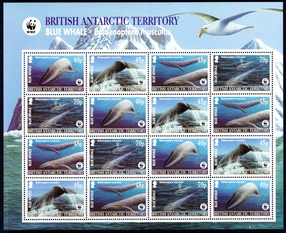 Territorio Antártico Británico 2003 Ballena Azul - WWF MNH Hoja Miniatura SC 329a Foto 1 de 1