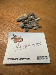 BELEMNITE Cretaceous Squid Fossil Lot of 20+ Montana - Picture 1 of 4