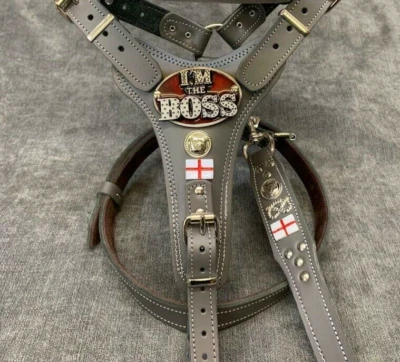 REAL LEATHER STAFFORDSHIRE/STAFFY BULL TERRIER  HARNESS & LEAD SET - - Image 1 of 4