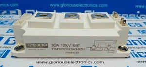 TPM300GB120MFD1 - Trinno Make - Picture 1 of 7