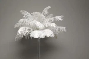 1-100 pcs 14"-16" Wholesale beautiful ostrich feathers for Centerpieces Wedding/ - Bild 1 von 5