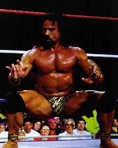 WWE WWF WCW WWWF Jimmy Jimmie Superfly Super Fly Snuka 8 x by 10 photo picture - Picture 1 of 1