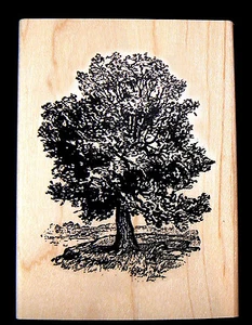 P3  Oak Tree rubber stamp WM 3x2.25" - Picture 1 of 1