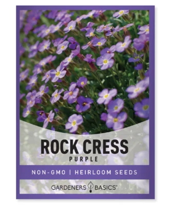 GARDENERS BASICS Purple Rockcress Seeds