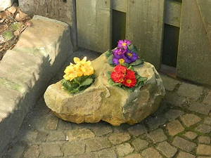Plant stone, planted natural stone, planter, rockery, Sempervivum - Picture 1 of 7