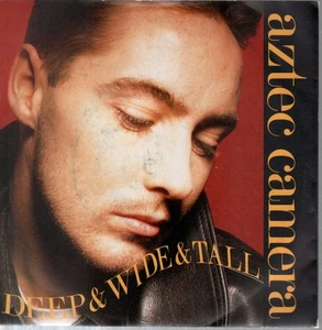 Aztec Camera Deep and Wide and Tall 7" vinyl UK Wea 1988 pic sleeve YZ154R - Picture 1 of 3