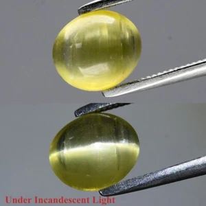 1.28ct Oval Cab Natural Greenish Yellow Cat's Eye Apatite - Unheated Africa Gem - Picture 1 of 11