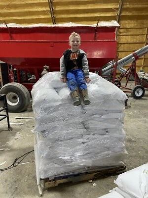 Núcleos de palomitas amarillas de champiñón 50# (similares a Magic or Monster) Foto 1 de 3