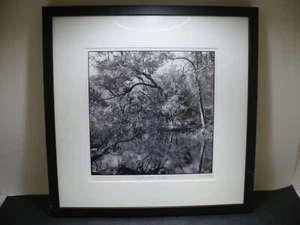 MATTED PHOTOGRAPHY Ichetucknee Springs Black & White Framed 17x17 by Dom Martino - Picture 1 of 5