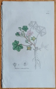 Sowerby Originaldruck Koloriert Botanik Malva rotundifolia - 1792ff - Picture 1 of 1