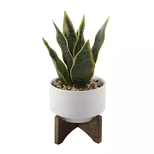 Flora Bunda 10" Artificial Snake Plant in 4" Constalition Ceramic Pot Wood Stand - Picture 1 of 4