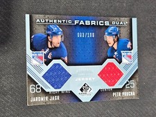 2007-08 UD SP GAME USED JAROMIR JAGR PETR PRUCHA DUAL FABRICS JERSEY #ed 3/100