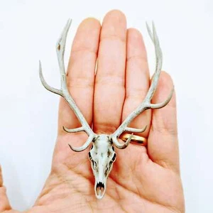 Miniature Red Deer Skull 1:12 Scale replica diorama dollhouse art (1 skull) - Picture 1 of 6