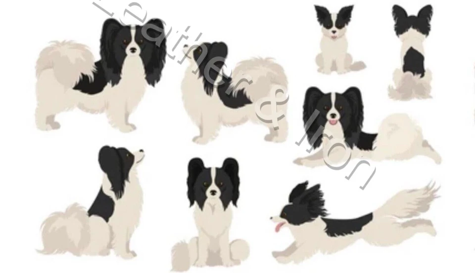 Nuevo Papillon Color Negro Diseño Perro Vinilo Chequera Cubierta Perros Foto 1 de 2