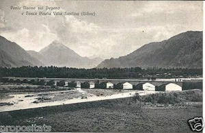 ud 065 Anni 30  VILLA SANTINA (Udine) Pineta e Ponte Degano -  non viagg. FP -  - Imagen 1 de 1