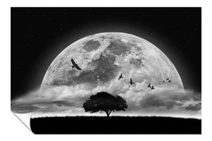 Birds Flying over Dark Night Moon Artistic Poster Wall Art Home Decor - Picture 1 of 4