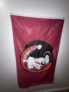 Large Vintage Florida State Seminoles Flag - Picture 1 of 4