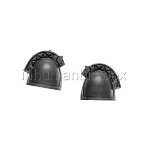 SW13 EPAULIERE x2 LOUP HT SPACE WOLVES WARHAMMER 40000 BITZ SPACE MARINE W40K - Imagen 1 de 1