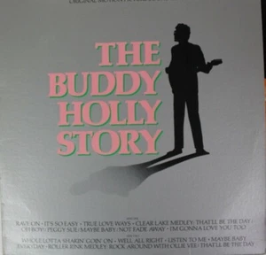 The Buddy Holly Story Soundtrack LP 1978 Vinyl NM/VG+ Gary Busey SE 35412 - Imagen 1 de 5