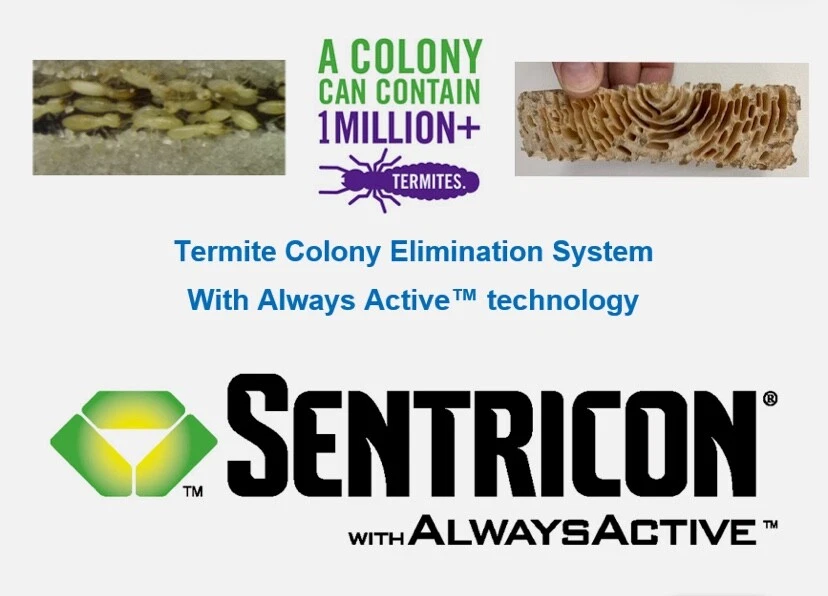 10 SubterraneanTermite in-ground bait stations US EPA 62719-608 - Image 1 of 4