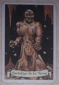 piece heroquest hero figurine sortilege de la terre : une peau de roc - Imagen 1 de 2