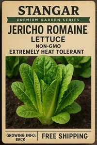 Jericho Römersalat Samen, gentechnikfrei, extrem hitzetolerant, KOSTENLOSER VERSAND - Bild 1 von 1