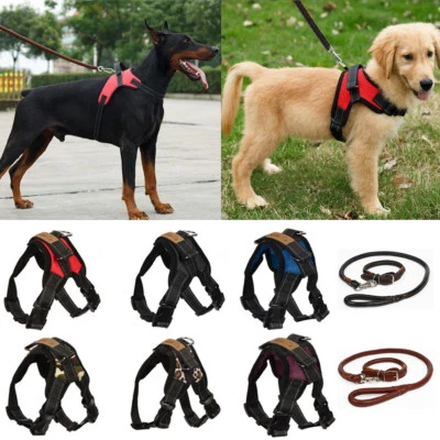 FUNKEEN Hundegeschirr Brustgeschirr Einstellbar Bequem für mittelgroße und große Hunde