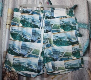 (BH1)(*KC) Arizona Jean Co.® Men's Beach Theme Swim Trunks w/Built-In Mesh - L - Picture 1 of 5